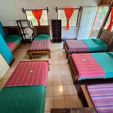 Oasis The Traveler Hostel